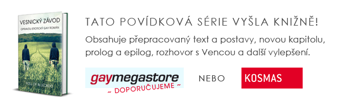 Vesnický závod kniha